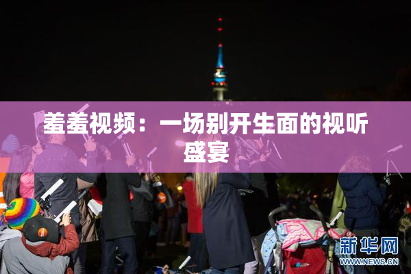 羞羞视频：一场别开生面的视听盛宴