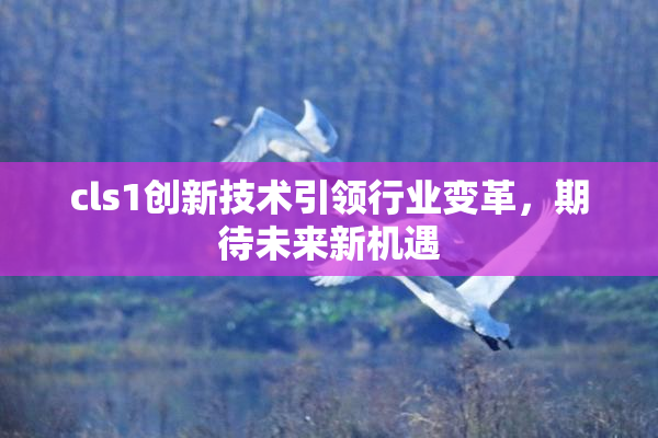 cls1创新技术引领行业变革，期待未来新机遇