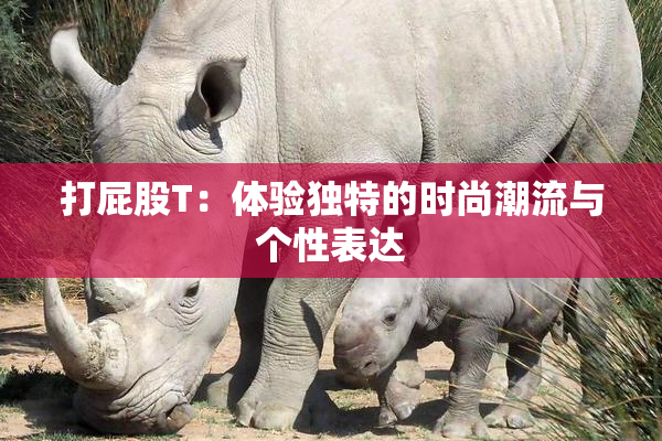 打屁股T：体验独特的时尚潮流与个性表达