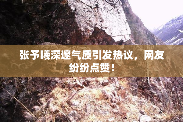 张予曦深邃气质引发热议，网友纷纷点赞！