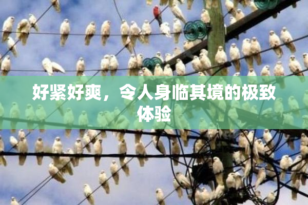 好紧好爽，令人身临其境的极致体验