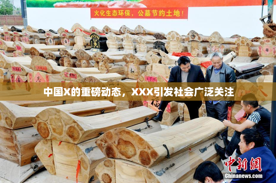 中国X的重磅动态，XXX引发社会广泛关注