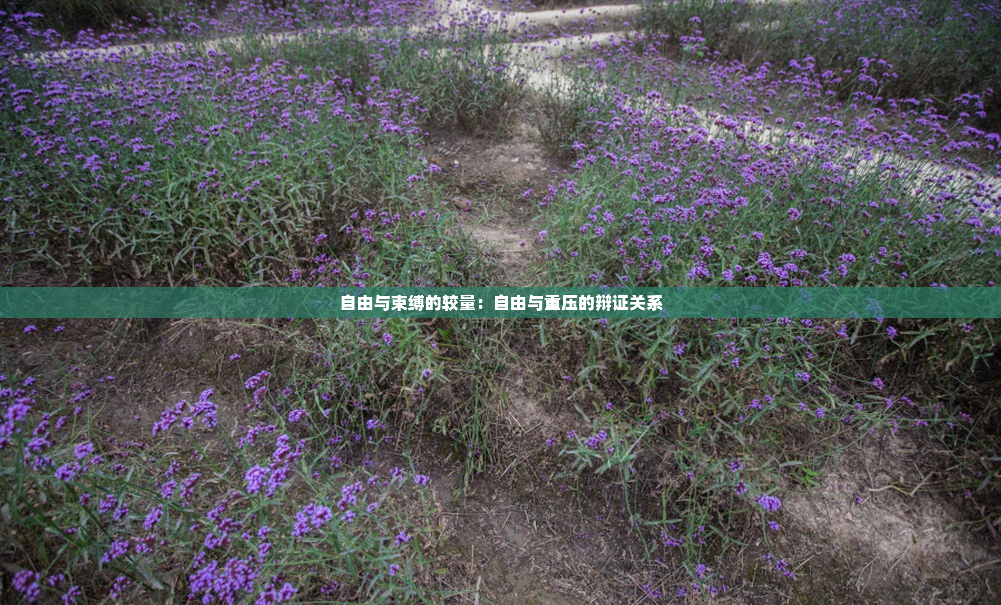 自由与束缚的较量：自由与重压的辩证关系
