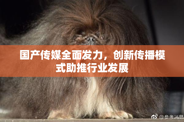 国产传媒全面发力，创新传播模式助推行业发展