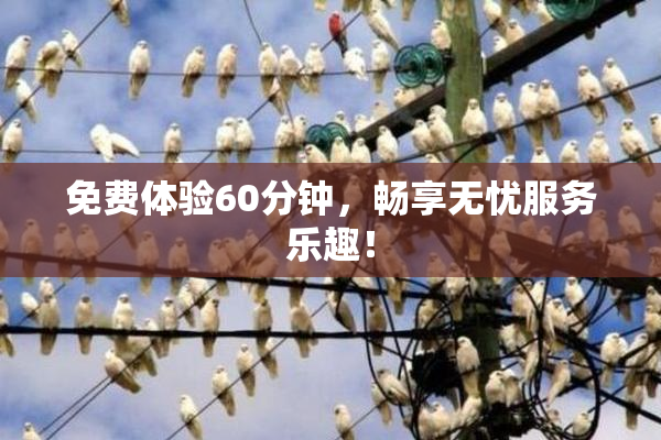 免费体验60分钟，畅享无忧服务乐趣！