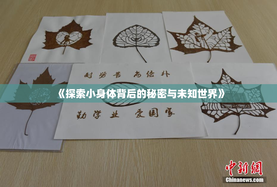 《探索小身体背后的秘密与未知世界》