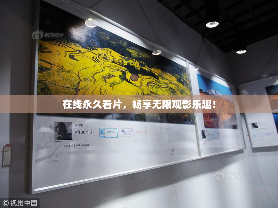 在线永久看片，畅享无限观影乐趣！