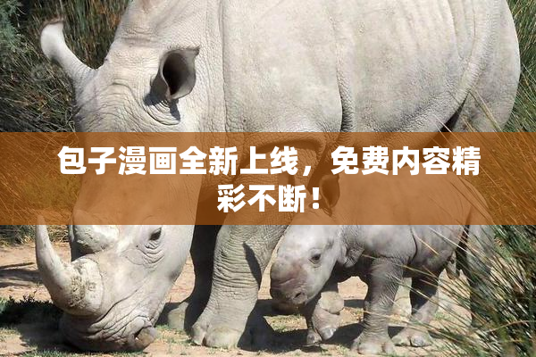 包子漫画全新上线，免费内容精彩不断！