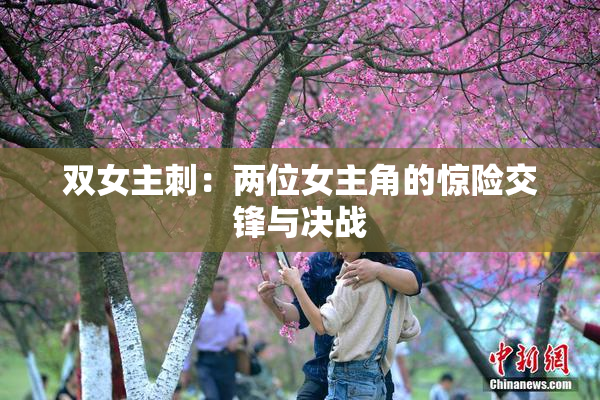 双女主刺：两位女主角的惊险交锋与决战