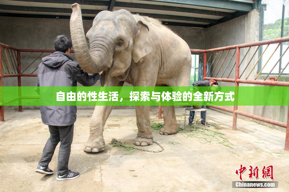 自由的性生活，探索与体验的全新方式