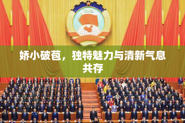 娇小破苞，独特魅力与清新气息共存