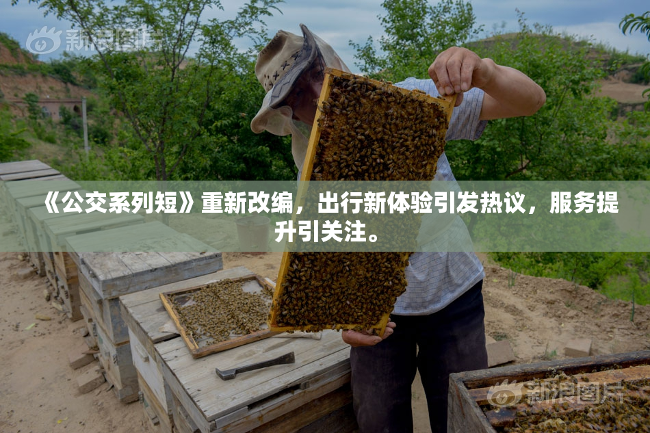 《公交系列短》重新改编，出行新体验引发热议，服务提升引关注。