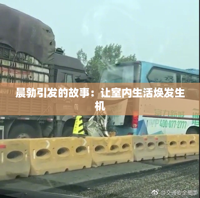 晨勃引发的故事：让室内生活焕发生机