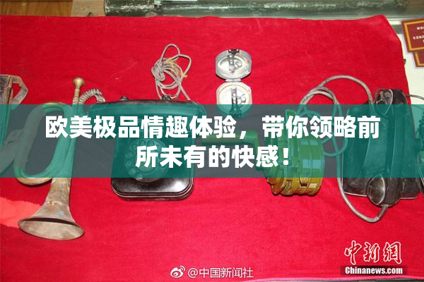 欧美极品情趣体验，带你领略前所未有的快感！
