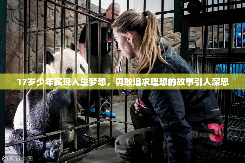 17岁少年实现人生梦想，勇敢追求理想的故事引人深思