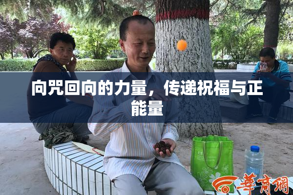 向咒回向的力量，传递祝福与正能量