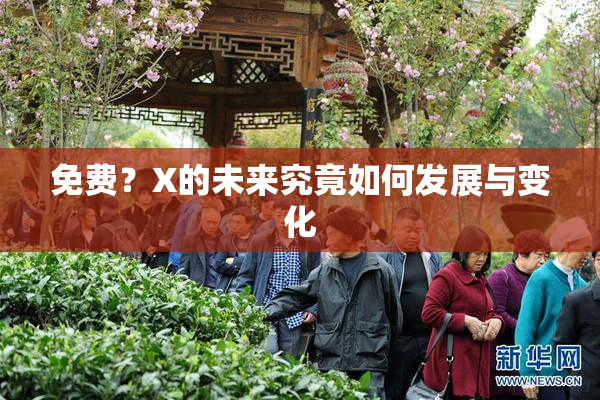 免费？X的未来究竟如何发展与变化
