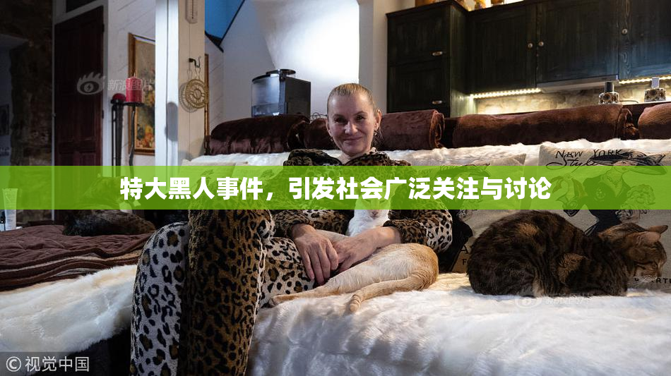 特大黑人事件，引发社会广泛关注与讨论
