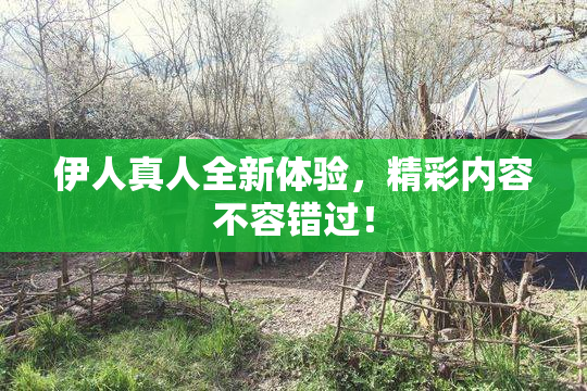 伊人真人全新体验，精彩内容不容错过！