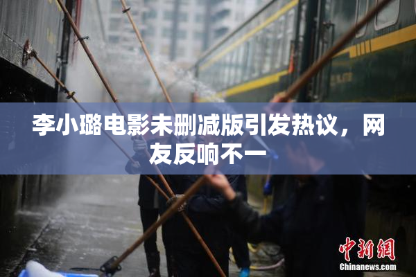 李小璐电影未删减版引发热议，网友反响不一