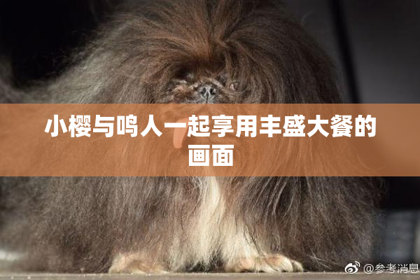 小樱与鸣人一起享用丰盛大餐的画面