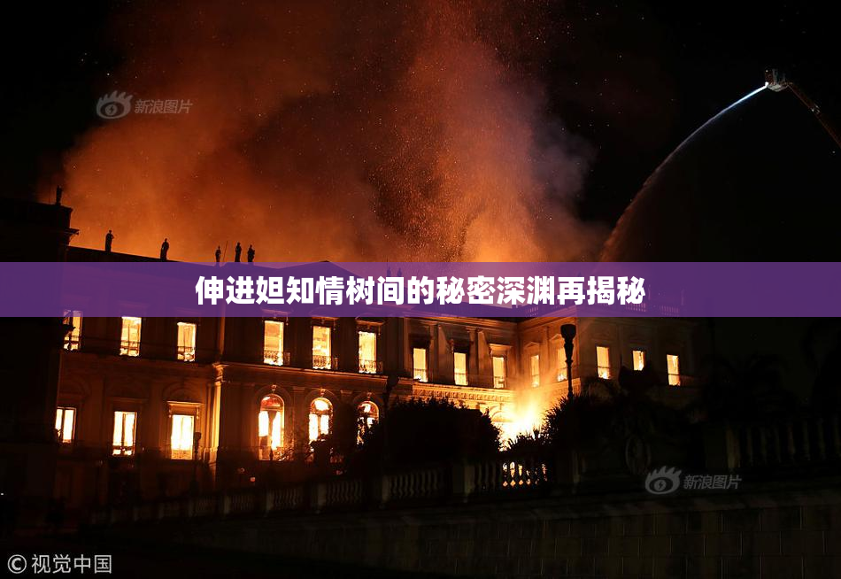 伸进妲知情树间的秘密深渊再揭秘
