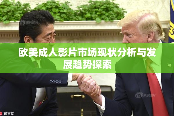 欧美成人影片市场现状分析与发展趋势探索