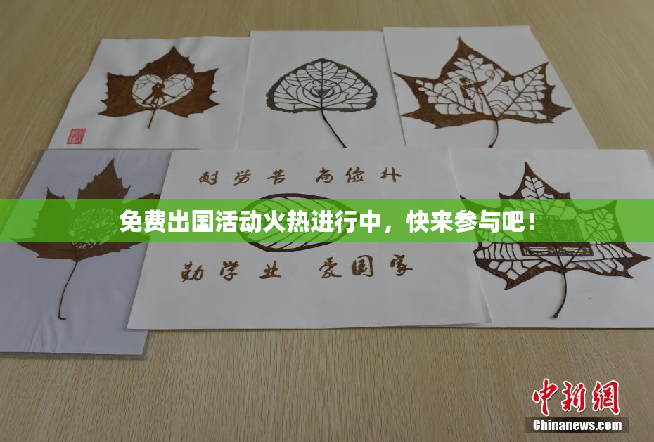 免费出国活动火热进行中，快来参与吧！