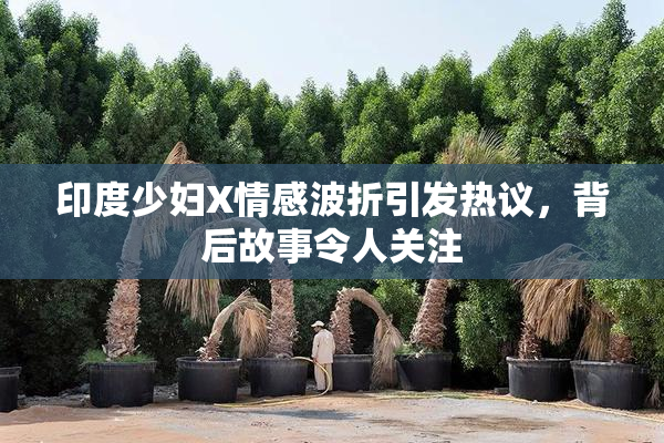 印度少妇X情感波折引发热议，背后故事令人关注
