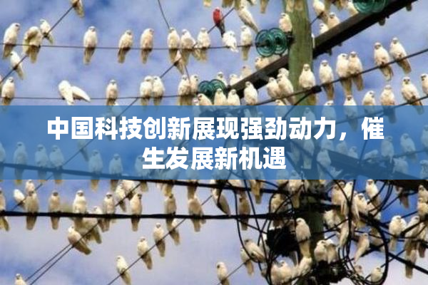 中国科技创新展现强劲动力，催生发展新机遇