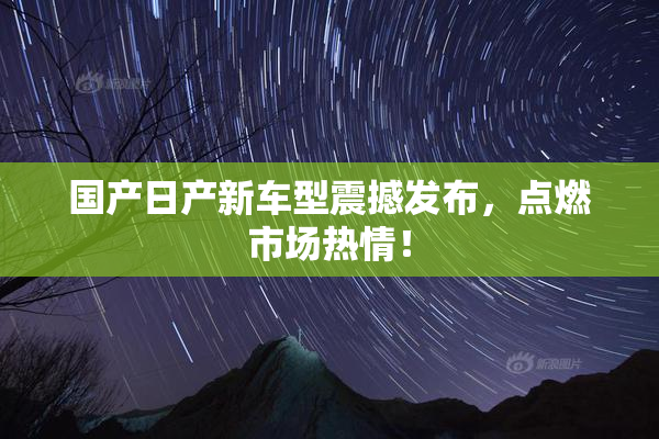 国产日产新车型震撼发布，点燃市场热情！