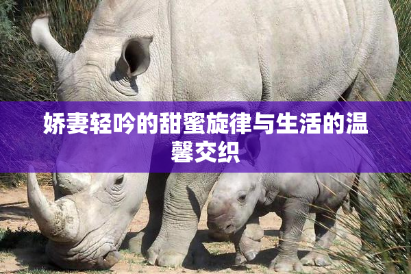 娇妻轻吟的甜蜜旋律与生活的温馨交织