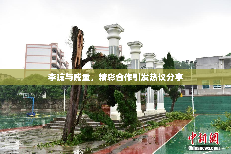 李琼与戚重，精彩合作引发热议分享