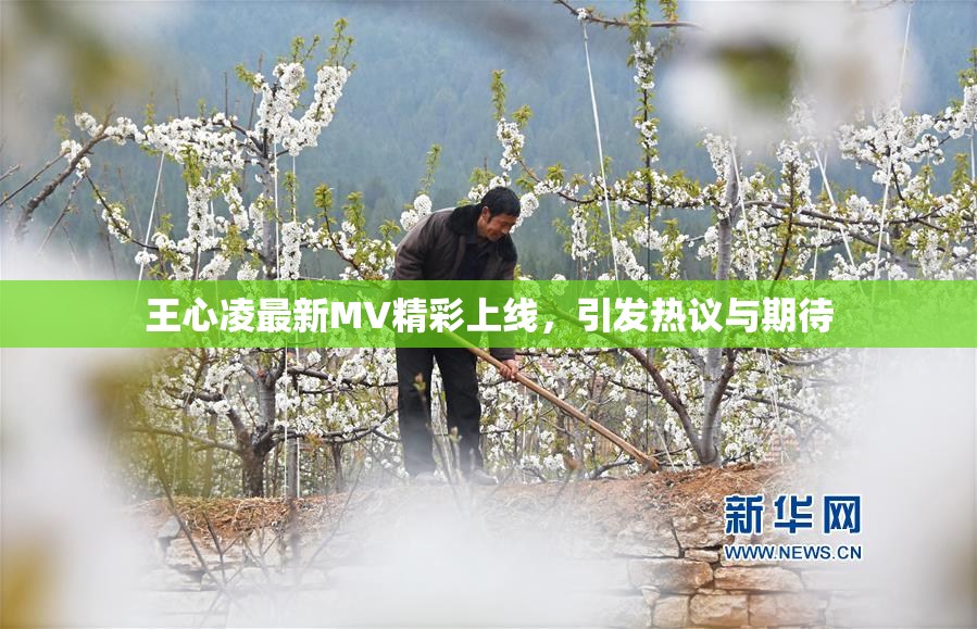 王心凌最新MV精彩上线，引发热议与期待