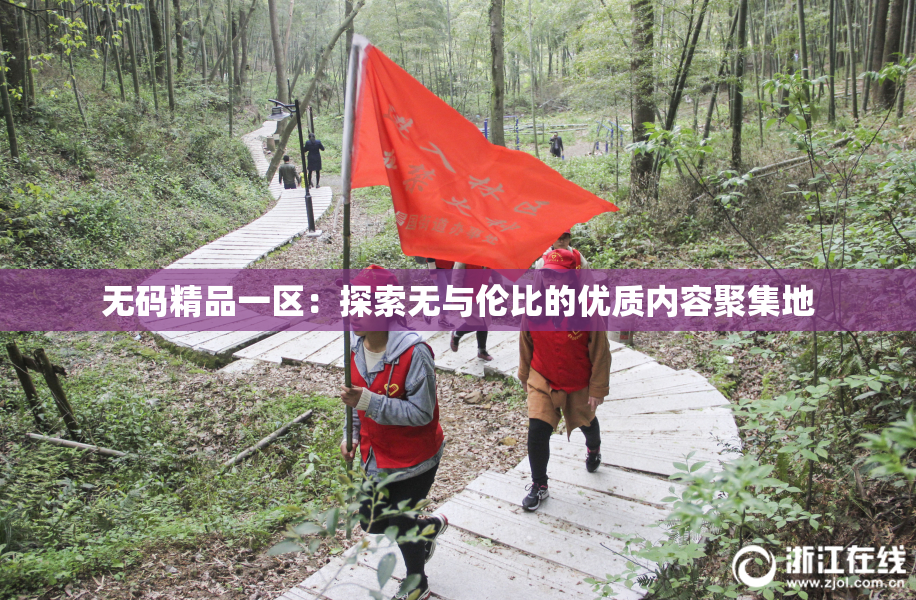 无码精品一区：探索无与伦比的优质内容聚集地