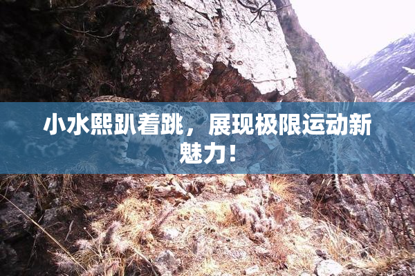 小水熙趴着跳，展现极限运动新魅力！
