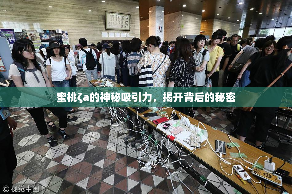 蜜桃ζa的神秘吸引力，揭开背后的秘密