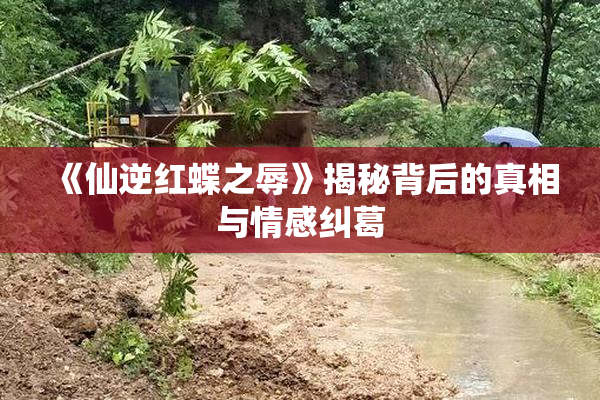 《仙逆红蝶之辱》揭秘背后的真相与情感纠葛