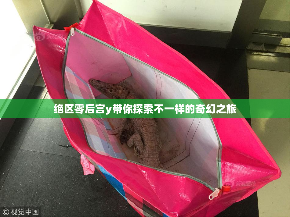 绝区零后宫y带你探索不一样的奇幻之旅
