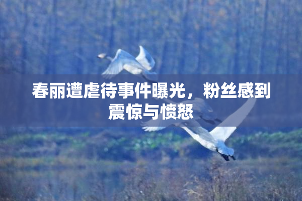 春丽遭虐待事件曝光，粉丝感到震惊与愤怒