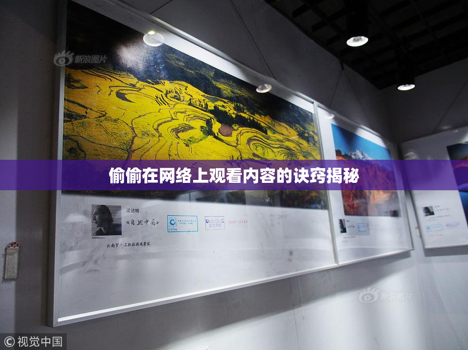偷偷在网络上观看内容的诀窍揭秘