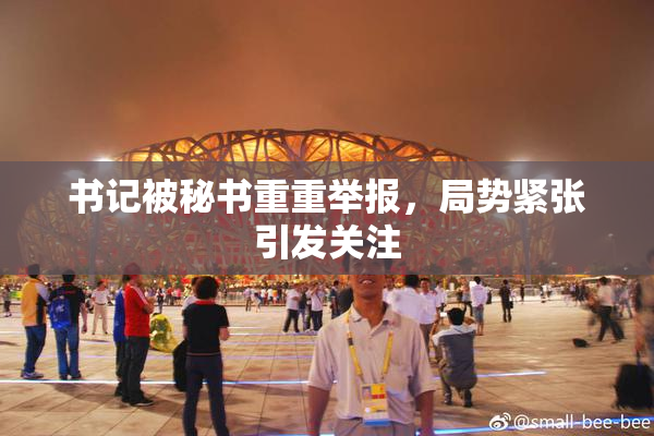 书记被秘书重重举报，局势紧张引发关注