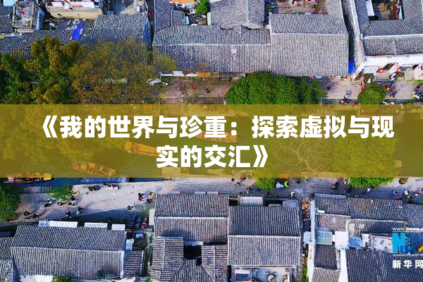 《我的世界与珍重：探索虚拟与现实的交汇》