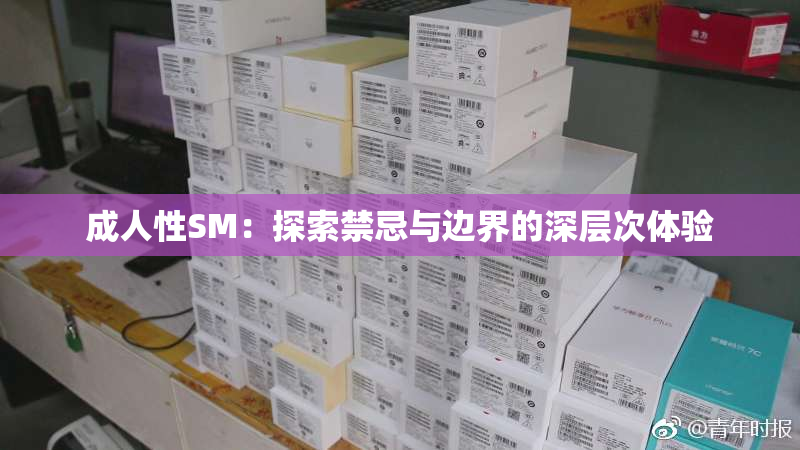 成人性SM：探索禁忌与边界的深层次体验