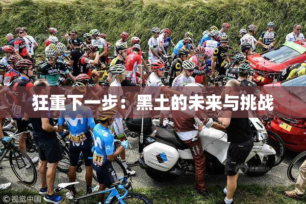 狂重下一步：黑土的未来与挑战