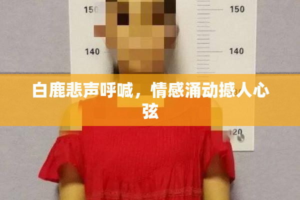 白鹿悲声呼喊，情感涌动撼人心弦