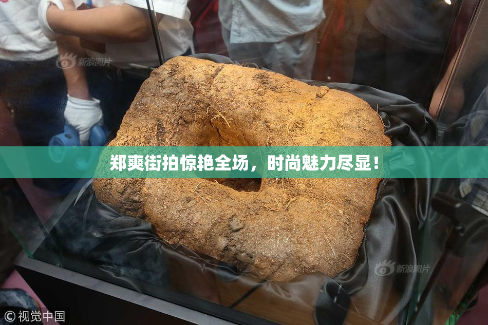 郑爽街拍惊艳全场，时尚魅力尽显！