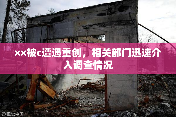 ××被c遭遇重创，相关部门迅速介入调查情况