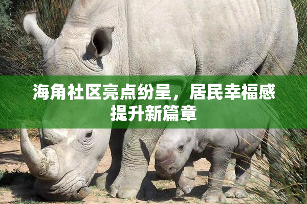 海角社区亮点纷呈，居民幸福感提升新篇章