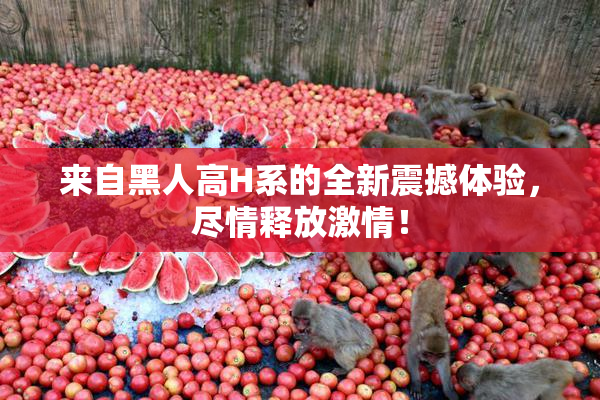 来自黑人高H系的全新震撼体验，尽情释放激情！